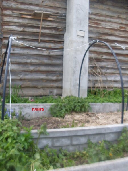SDC10762.JPG