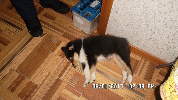 SAM_0300.JPG