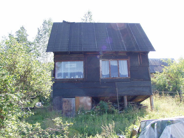 P8110034.JPG
