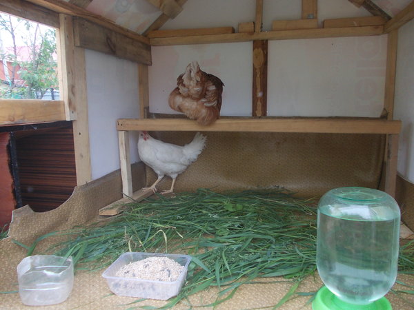 DSCN0639.JPG