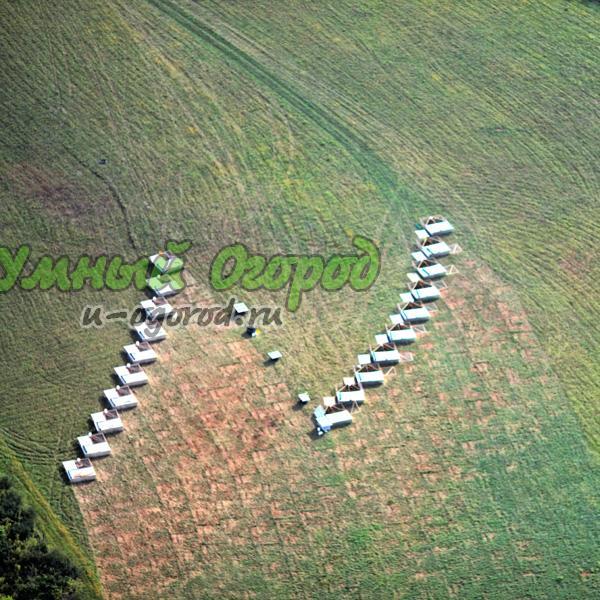 chick-tractor.jpg