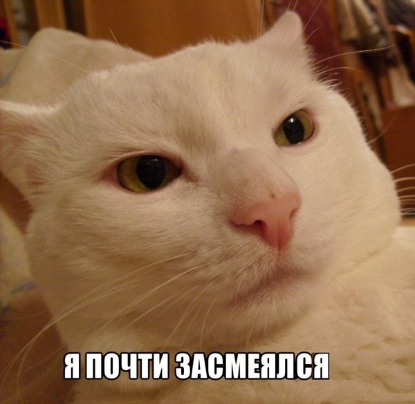 nastushka_prochti_eto_drug_1.jpg
