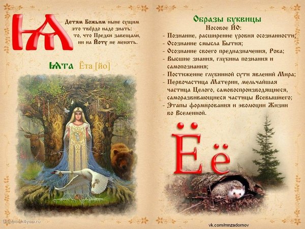ЙО.jpg