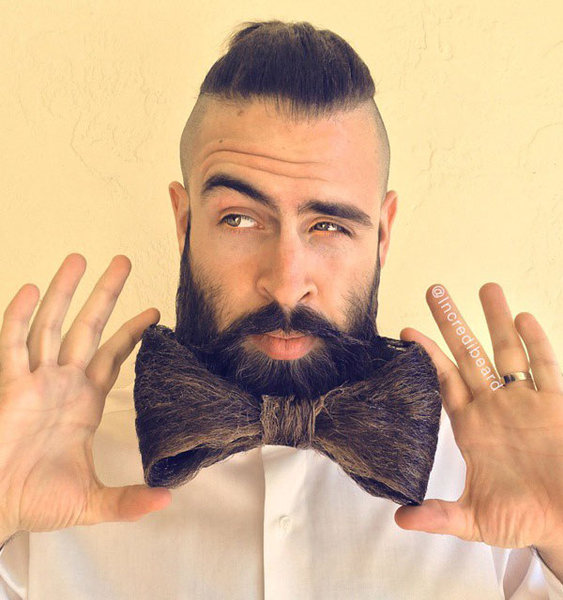 22-Beard-butterfly.jpg