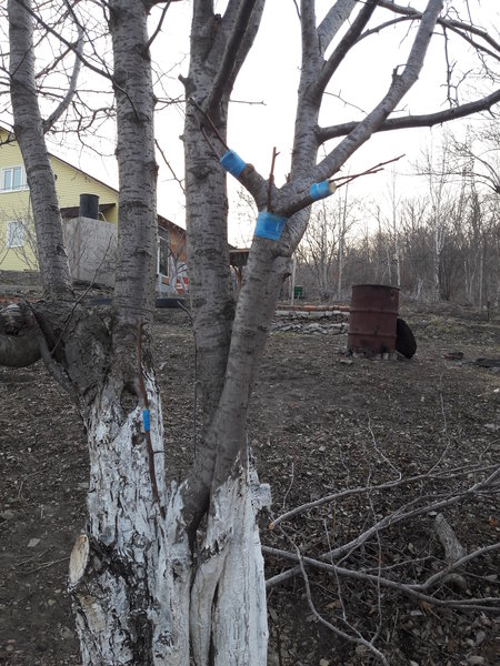2017-04-09 18-56-15.JPG