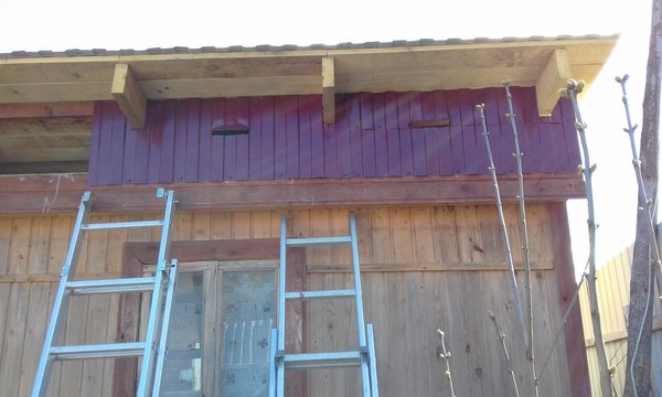 20170415_145141.jpg