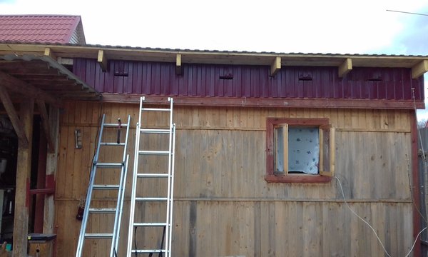 20170423_104553.jpg