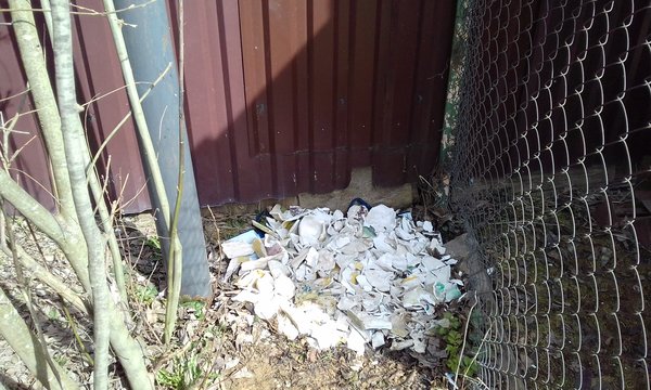 20170424_101629.jpg