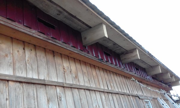 20170501_181411.jpg