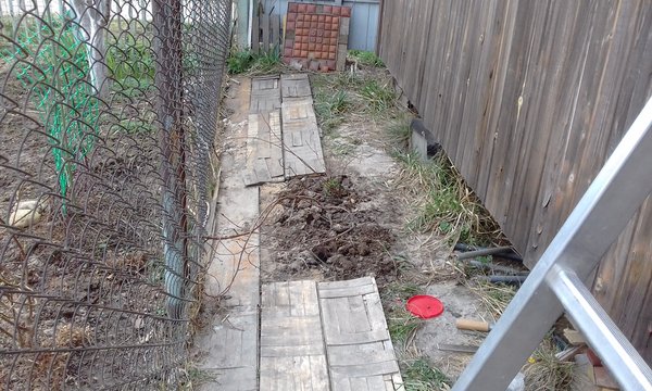 20170501_181320.jpg