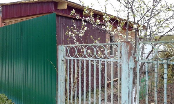 20170511_153304.jpg