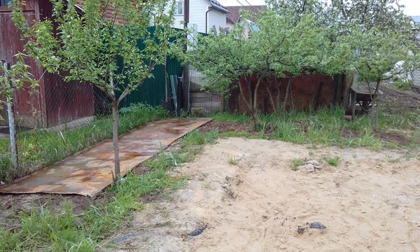 20170528_081154.jpg