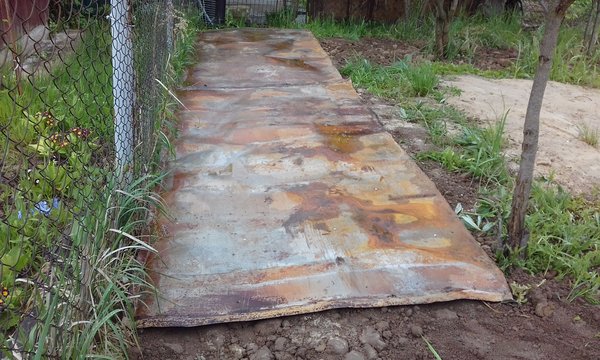 20170528_081233.jpg