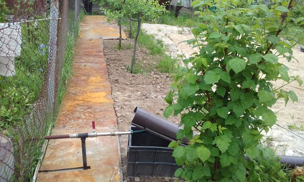 20170531_155441.jpg