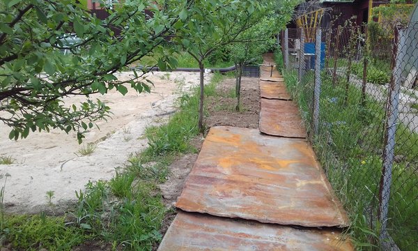 20170531_155606.jpg