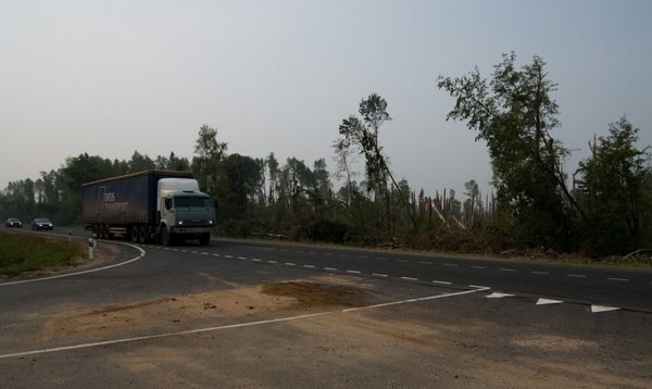39231153.jpg