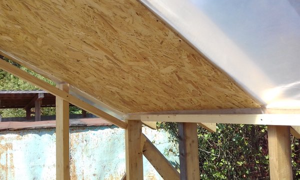 20170727_114502.jpg