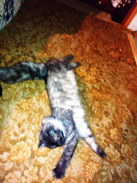 IMG_20160203_235916.jpg (879.17 КБ) 14006 просмотров IMG_20160203_235916.jpg