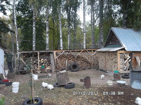 SAM_0726.JPG