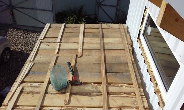 20171008_123335.jpg