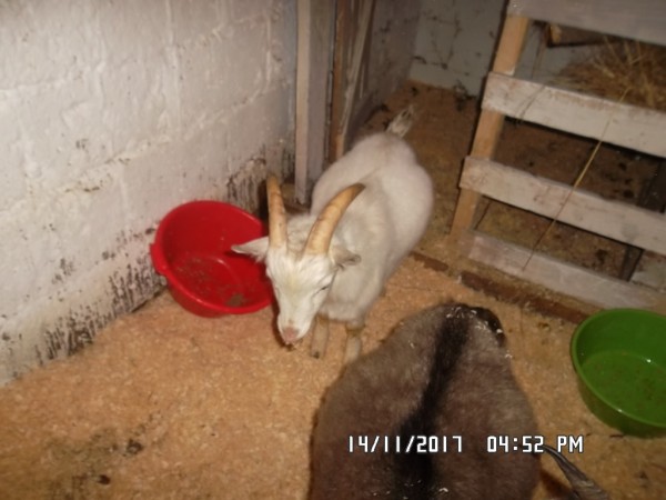 SAM_0868.JPG (265.05 КБ) 15012 просмотров SAM_0868.JPG