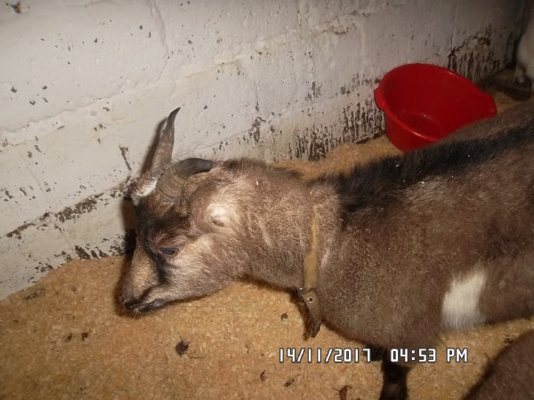 SAM_0869.JPG (277.82 КБ) 15012 просмотров SAM_0869.JPG