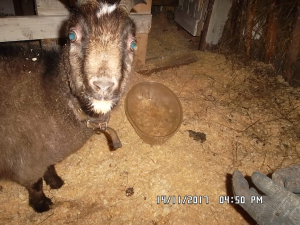 SAM_0867.JPG (299.68 КБ) 15012 просмотров SAM_0867.JPG