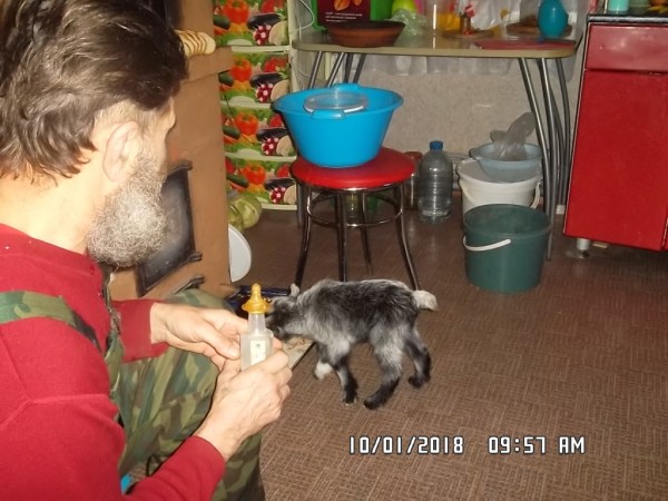 SAM_0929.JPG