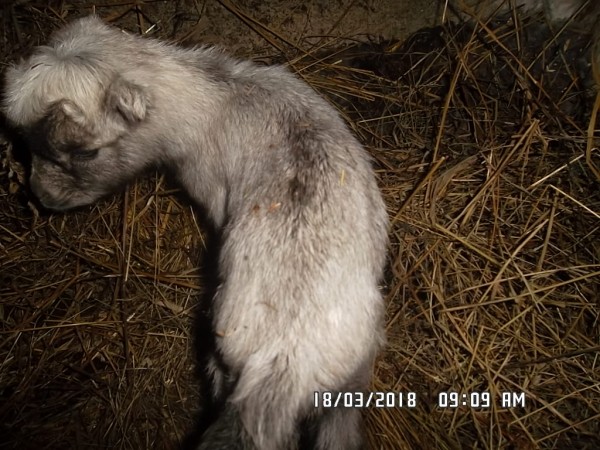 SAM_1098.JPG (303.23 КБ) 6881 просмотр SAM_1098.JPG