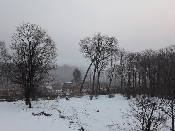 2016-12-04 08-34-03.JPG