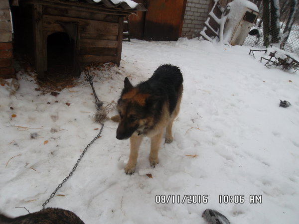 SAM_0158.JPG