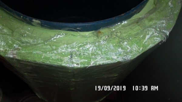 SAM_1494.JPG (509.07 КБ) 8130 просмотров SAM_1494.JPG