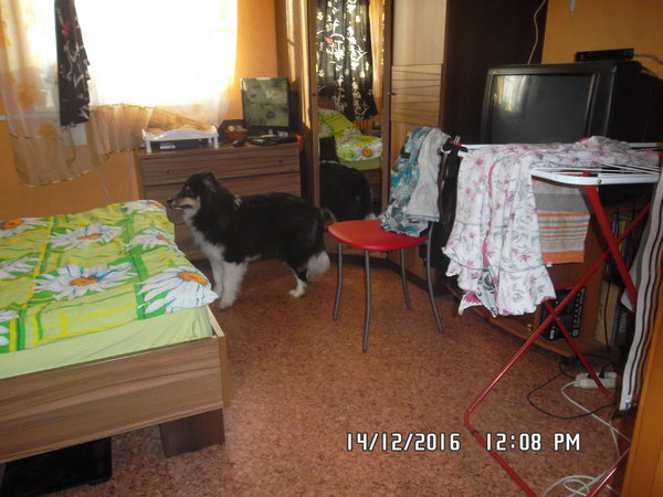 SAM_0216.JPG