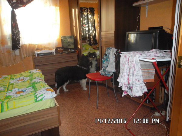 SAM_0218.JPG