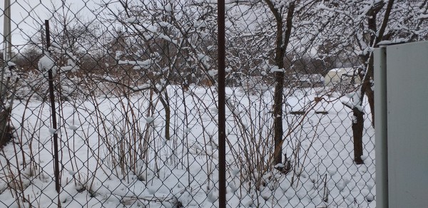 20200331_121710[1].jpg