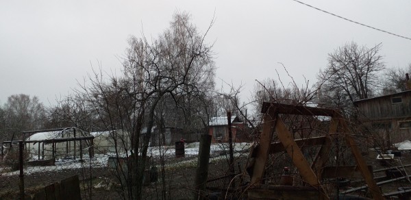 20200415_182940[1].jpg