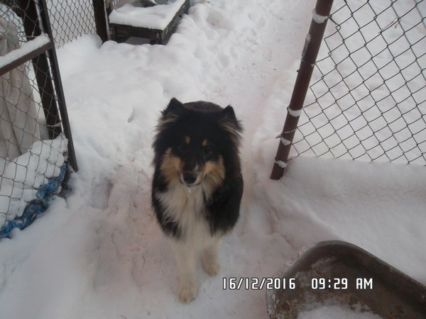 SAM_0227.JPG