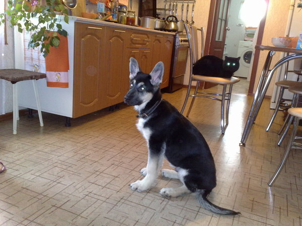 07022015816.jpg