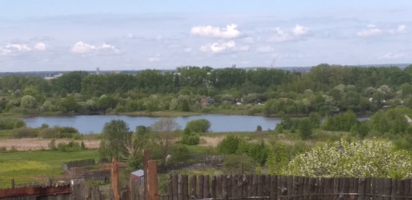 20200527_083512[1].jpg
