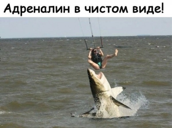 %D0%B8%D0%B7%D0%BE%D0%B1%D1%80%D0%B0%D0%B6%D0%B5%D0%BD%D0%B8%D0%B5_viber_2019-12-29_18-52-39%20%281%29[2].jpg