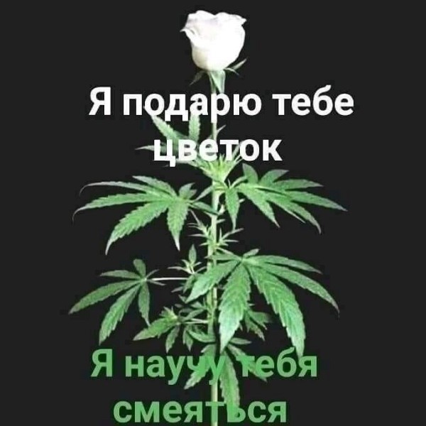 11%20%28196%29[1].jpg