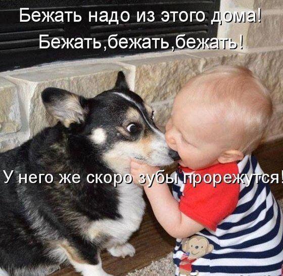 %D1%8F%20photo_2020-07-28_10-31-03%20%281%29[1].jpg