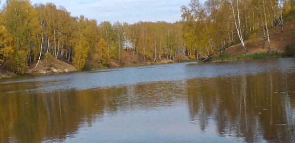 20201006_114313[1].jpg