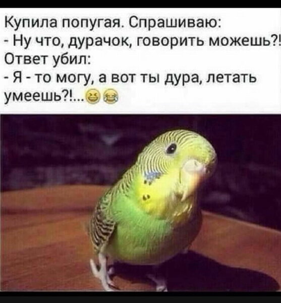 %D0%B8%D0%B7%D0%BE%D0%B1%D1%80%D0%B0%D0%B6%D0%B5%D0%BD%D0%B8%D0%B5_viber_2020-02-06_12-28-25[1].jpg