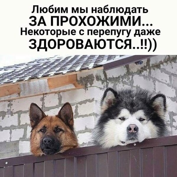 %D0%B8%D0%B7%D0%BE%D0%B1%D1%80%D0%B0%D0%B6%D0%B5%D0%BD%D0%B8%D0%B5_viber_2020-02-08_08-40-58[1].jpg