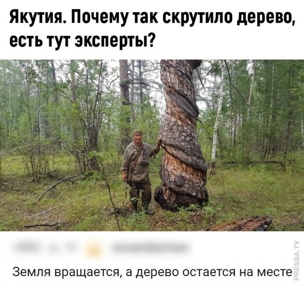 1606975196_pressa_tv_screen-25[1].jpeg