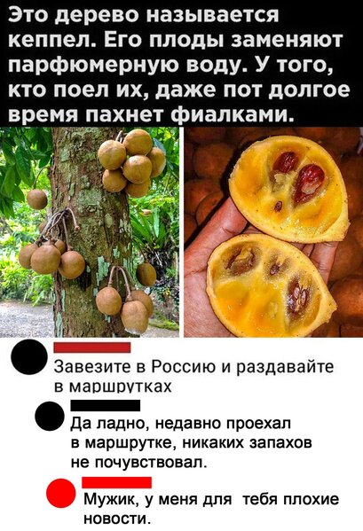 n4cVyg8GIqM[1].jpg