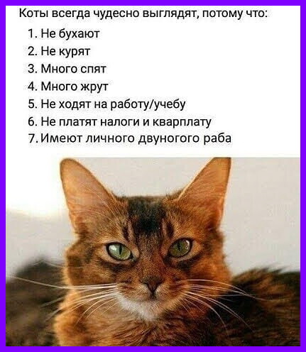 1%20IMG-eefda9ffd251af8d2230da80c188bb77-V[1].jpg