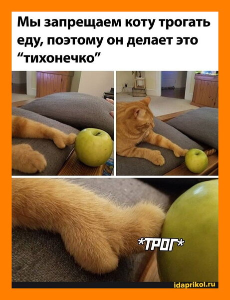 01a2fd9bc4a27bc86caadb1ec0ced8f51653c85573864bef389886b9a49ee550_1[1].jpg