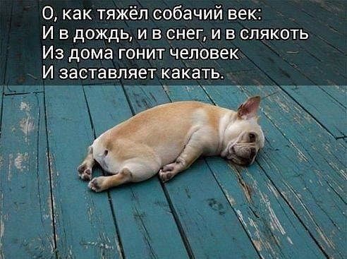 2ff13a1a0a858c8ef38b89ebeb608b9a515a7cfdab662495046766a29ed125fd_1[1].jpg